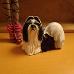 Shih Tzu Border Fine Arts