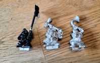 Hammerers command - Warhammer Dwarfs