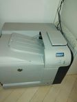 HP printer 