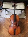 Cello 4/4 - Eastman cello