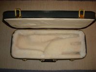 Altsax hardcase