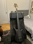 Warwick Thumb BO Fretless 2010 Special Edition