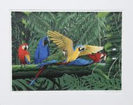 Parrots among palm leaves. litografi nr 814 signerad