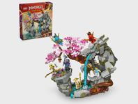 LEGO Ninjago 71819 Dragonshrine