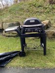 Weber pulse 1000 elgrill