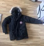 Canada Goose expedition Small