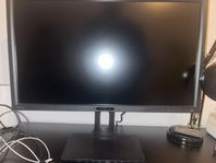 BenQ BL2420PT 