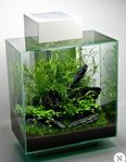 Fluval Edge - 46 liter -Vitt -Helt Komplett Akvarium Akvarie