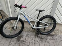 TREK Roscoe 24”