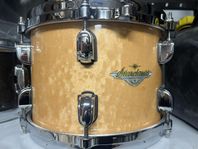 Starclassic Maple 10" puka