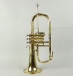 Trumpet, Musica Steyr Austria, med väska