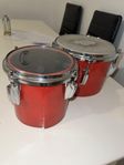 Bongos 6/8 