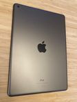 iPad 10.2" (9.gen) 256 GB