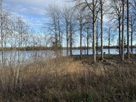 strandnära tomter