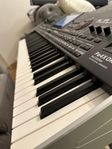 Korg Pa 4X MG1