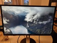 Philips  32" 2k professional monitor