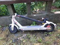 Elscooter