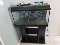 Juwel akvarium 110liter