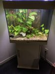 akvarium 120 L