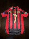 AC Milan 2004/2005 #Shevchenko #7