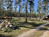 Tomter på västra Gotland 