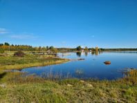 Havstomt norr om Skellefteå