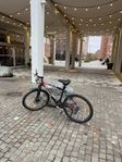 Yosemite Redwood Mountainbike