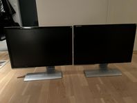 Skärmar - BENQ V2400W