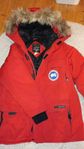 Canada goose expedition park size xs