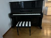 Piano, Ritmuller