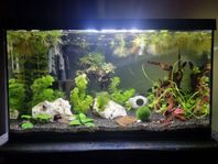 63L akvarium samt möbel 