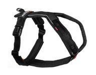 Non-Stop Dogwear Line Harness 5.0 - NY!