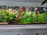 Akvarium 180L