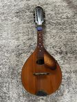 mandolin 