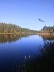 Tomt vid idylliska Råneälven