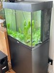 Akvarium Juwel Lido 120 liter 