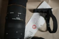 Sigma 50-500 mm f 4-6,3 APO DG HSM