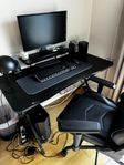 Komplett gaming setup med dator EX skärm! 