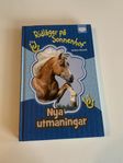 ridläger på sonnenhof