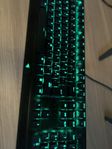 Razer Blackwidow V3