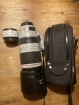 Canon EF 100-400mm F/4.5-5.6L IS II USM + Extender 1.4x