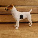 Jack Russell Terrier 