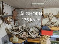 ÄLGHORN