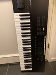 Keyboard Komplete Kontrol S49 MK2 Native instruments