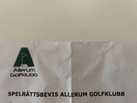 Spelrätt Allerum Gk