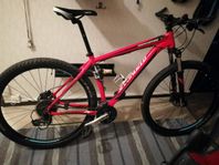 Specialized rockhopper 