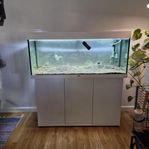 Komplett Juwel akvarium 240l