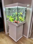 Akvarium Juwel lido 200l