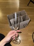 12 x champagneglas 