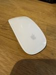 Apple Magic Mouse